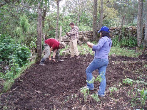 AGRICULTURA DE MUYOC